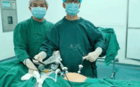 七旬老人微创补“腹壁漏洞” 医生警示：莫让小洞酿成大患！