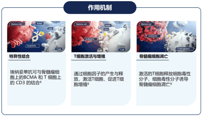 难治患者获新生 海医二院治疗复发难治多发性骨髓瘤再迎新方案——血液科双抗治疗成功落地