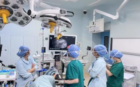 瑞金海南医院完成首例超声内镜引导下胰腺穿刺活检术，为跨省寻医患者精准“定诊”