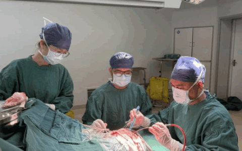 无影灯下的守护：不止医术，更有心术