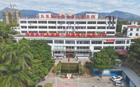 乐东黎族自治县人民医院聚力前行守健康 初心如磐护民生