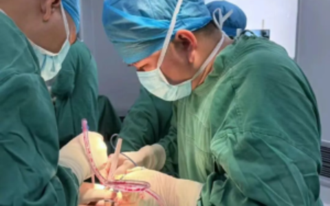 乐东县人民医院骨科医学中心妙手换髋解沉疴 公益救助暖人心