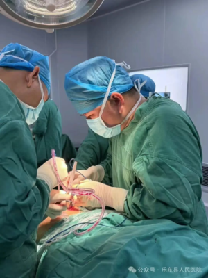 乐东县人民医院骨科医学中心妙手换髋解沉疴 公益救助暖人心