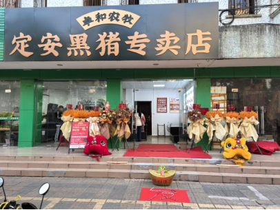 地标臻品焕新  卓和农牧定安黑猪海口定安第一家专卖店开业