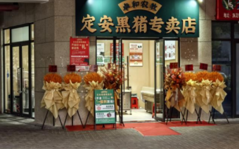 地标臻品焕新  卓和农牧定安黑猪海口定安第一家专卖店开业