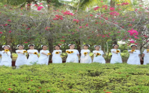 点亮“视”界，为光明护航—海南医院眼口腔综合康复科人文护理病房建设实践