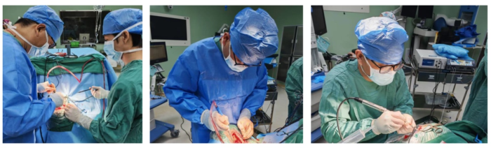 上海六院海口医院多学科协作成功救治21岁坠楼少女