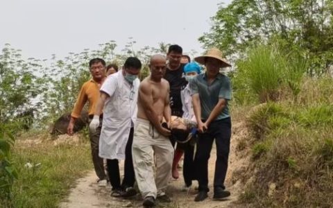  青山寄哀思 白衣守安康——屯昌县人民医院清明假期山间救援暖人心