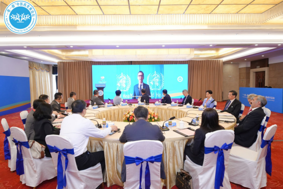 “一带一路”中医药发展会议（海南）圆桌对话会成功举办