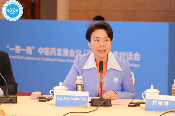“一带一路”中医药发展会议（海南）圆桌对话会成功举办