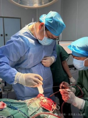 生死竞速护生命！乐东县人民医院联合海医二院柔性专家团队，成功抢救特重型颅脑损伤患者