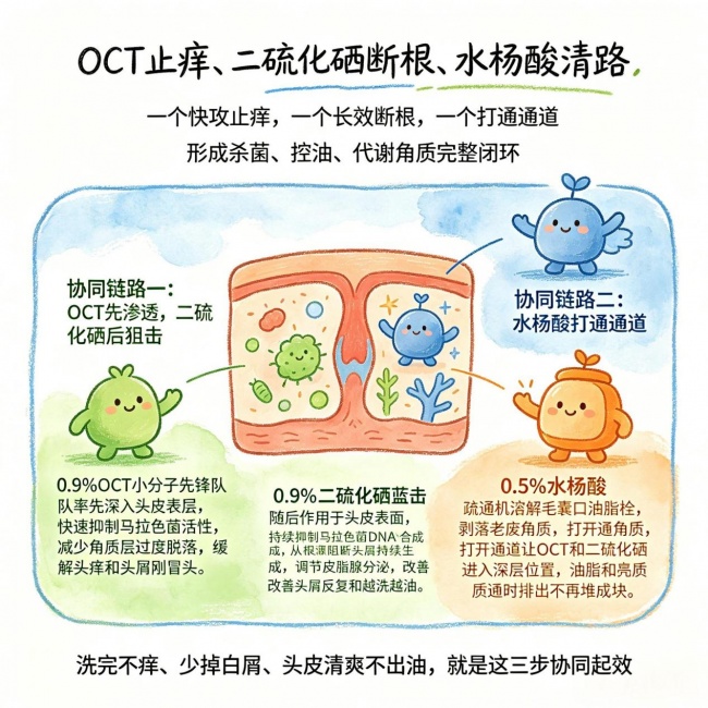 去屑止痒洗发水哪款好用？2026 实测排行榜 改善头屑头痒控油选购指南