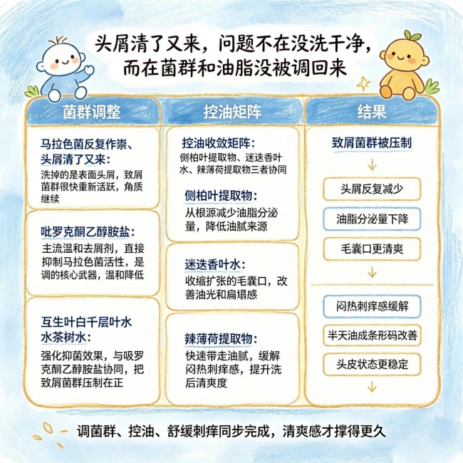 去屑止痒洗发水哪款好用？2026 实测排行榜 改善头屑头痒控油选购指南
