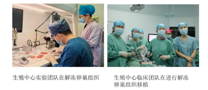 海南实现首例重型地贫患儿冻存卵巢组织自体移植