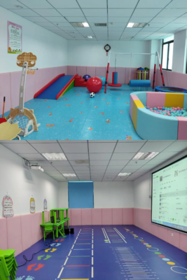 乐东县妇幼保健院孤独症儿童康复项目备案机构揭牌