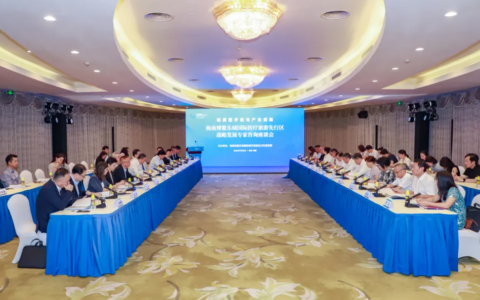 博鳌乐城召开战略发展专家咨询座谈会