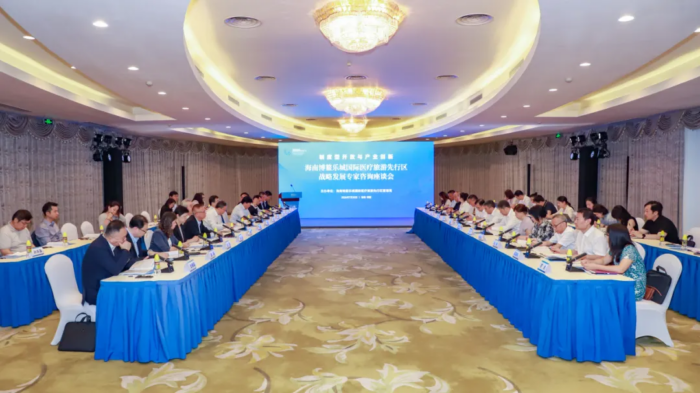 博鳌乐城召开战略发展专家咨询座谈会